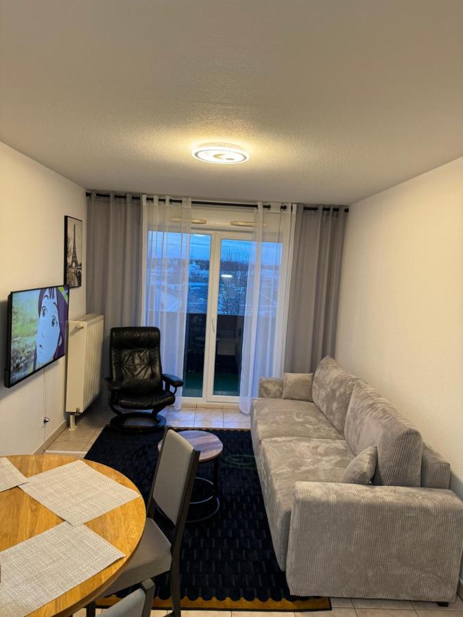 Appartement Calme Avec Balcon, A 4Km Du Centre, Parking, Wi-Fi, Netflix Gratuit Strasbourg Ngoại thất bức ảnh