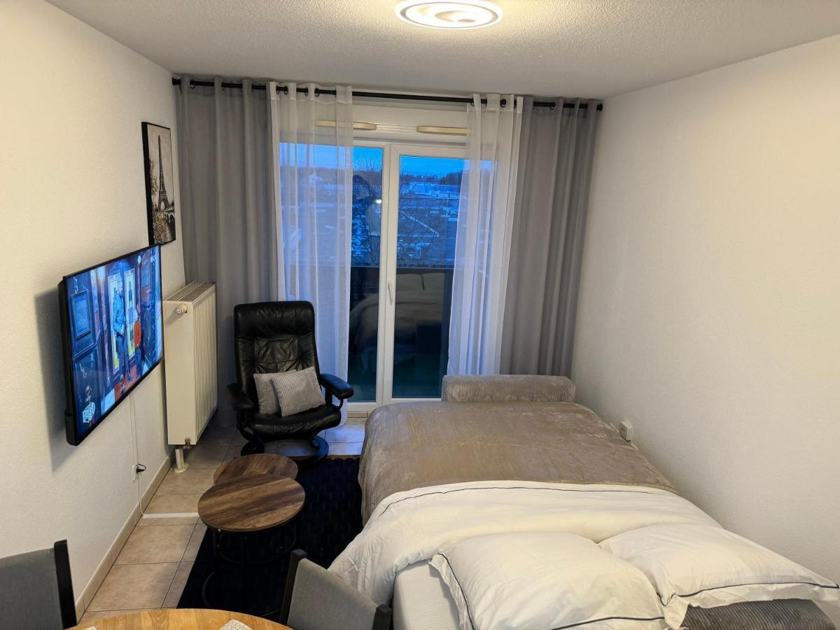 Appartement Calme Avec Balcon, A 4Km Du Centre, Parking, Wi-Fi, Netflix Gratuit Strasbourg Ngoại thất bức ảnh