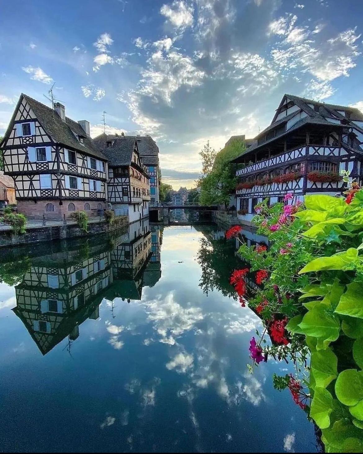 Appartement Calme Avec Balcon, A 4Km Du Centre, Parking, Wi-Fi, Netflix Gratuit Strasbourg Ngoại thất bức ảnh
